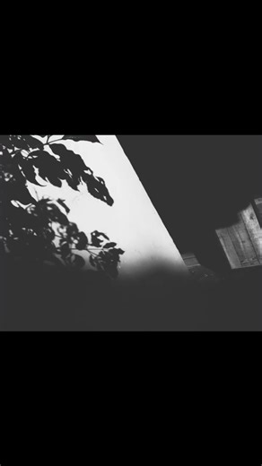 Keeping minimalist street photography simple #aesthetic #streetphotography