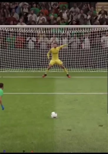 Soccer Match Highlights: Goalkeeper vs. Player in Action