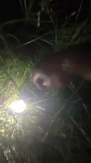 The strongest flashlight I've ever owned! #mystery #hidden