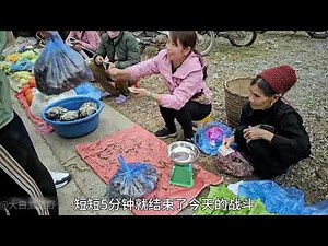 第61集|-丽娜独居丛林打造农庄，小猪崽降生.升级农庄地面#野外生活纪录片 #记录真实生活 #建造田园生活