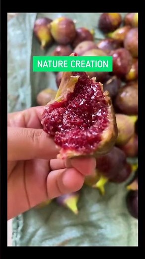 Health Benefits of Fresh Figs: The Ultimate Superfood for Blood, Bones & Digestion! # 11