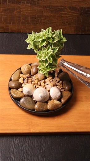 Home Decorating Ideas with Indoor Plants | Plants Decor #shorts #plants #homedecor #indoorplants