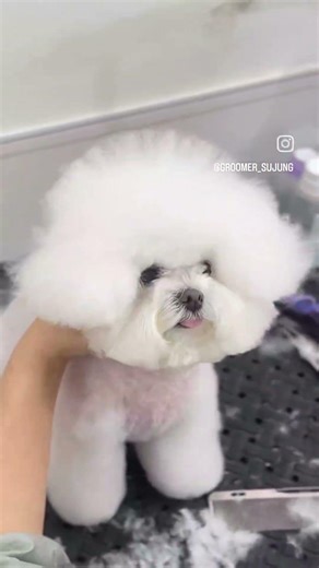 귀툭과정~♡동그라미에 동그라미