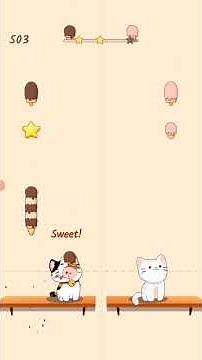 Cat sing counting star #shorts #music #cat
