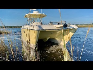 33’ World Cat Walkthrough