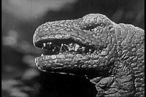 Two Types Dinosaurs Fight Carnivorous Allosaurus Stock Footage Video (100% Royalty-free) 18443518 | Shutterstock