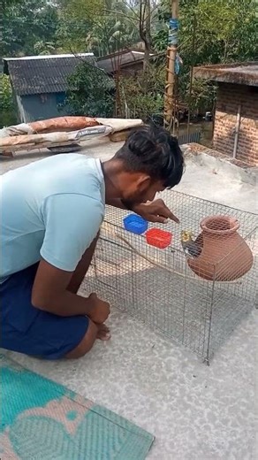 🌟 “Cockatiel’s Daily Fun Routine | Must Watch!”