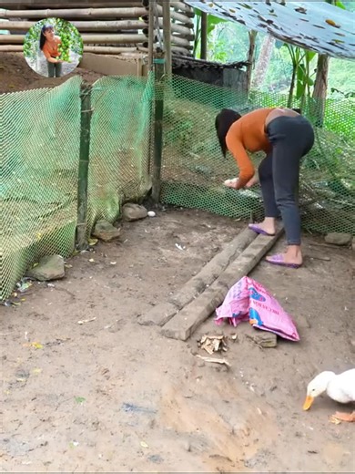 Part 3 #harvesting #farmlife #garden #bushcraft #building #fruitsbasket #offgridliving | My Survival