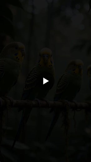 Better Breeders. Better Birds. | American Breeder