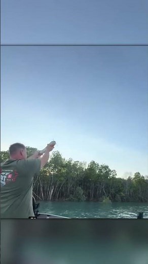 Eagle Snatches Thrown Fish Right Out of the Air!
