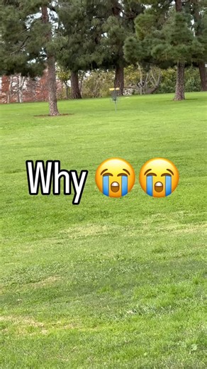 Isaiah Morgan on Instagram: "Why can’t these stick 😭 Disc- @latitude_64 Opto-ice Pure #discgolf #flythecardinal #fyp"