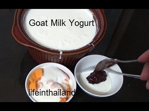 Making Goat Milk Yogurt - Yogurt in the slow cooker.