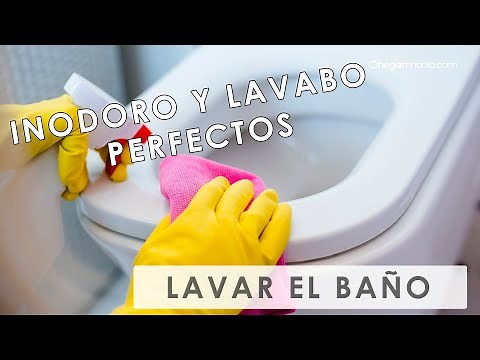 How to clean the bathroom 🧽 Cleaning the toilet and sink 🚽 Hogarmania