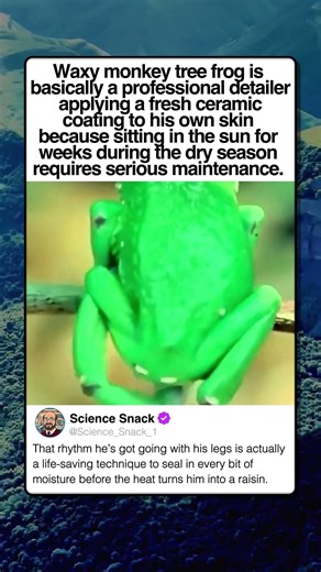 HE MAKES HIS OWN SUNSCREEN