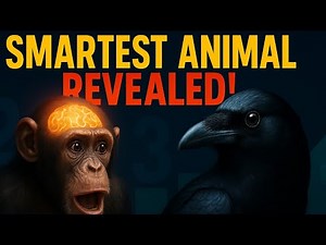 Animal Intelligence Ranking - Know the Animals with Intelligence