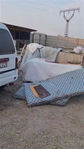 The donkeys ran out of food