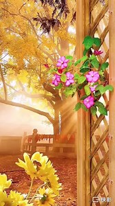 295K views · 20K reactions | 2021年8月27日 農歷辛丑年 七月20日星期五 ‌‌晨起发愿文；...