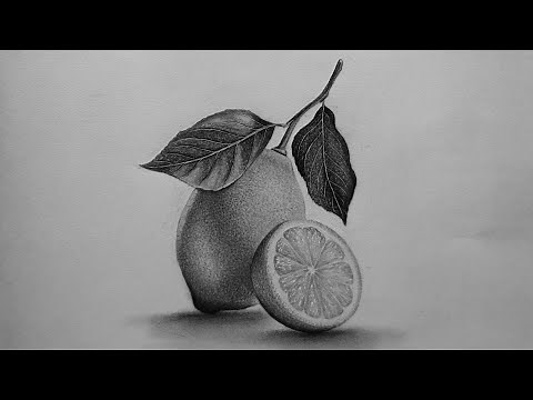 How to Draw Realistic Lemon | Realistic Lemon Sketch Tutorial for Beginners | Step by Step