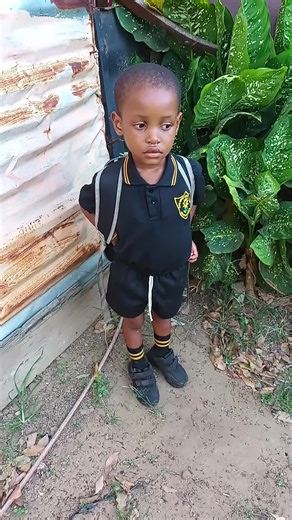 Adopt This Loving Pet Today and Make a Difference