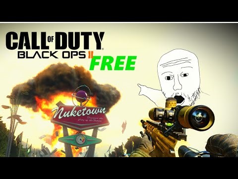 How to get Black Ops 2 for FREE (Plutonium)