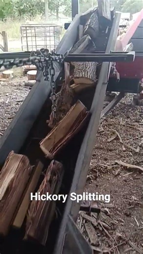 Post Bunyan Splitting on the Dyna SC14. #firewood #wood #shorts #sidehustle