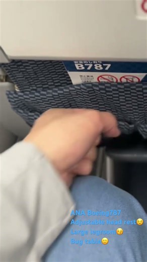 ANA Boeing 787 seat introduction