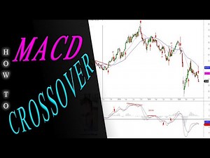 MACD Signals: How To Use Them to Your Advantage