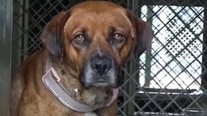 2.9K views · 112 reactions | A5435853 ✰ Unknown -8/22/21-  Please...