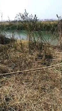 Gori tere gaon 🤽🏊🚣🏄