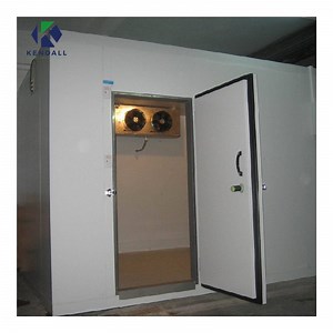 [Hot Item] Customer Assembling Walk in Freezer Cold Room