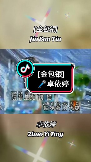 金包银 Jin Bao Yin 卓依婷