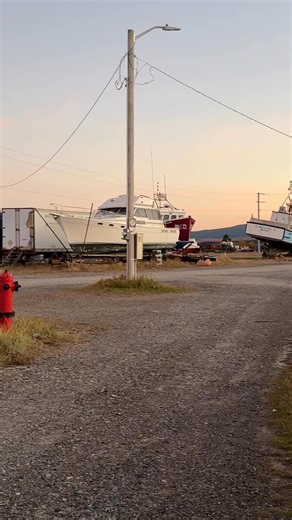 Ronald Macdonald on Reels