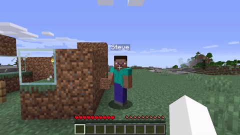 Naming Every Minecraft Entity