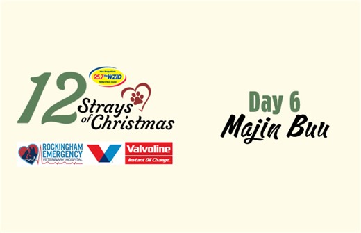 Day 6 – Majin Buu | 95.7FM WZID