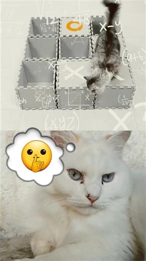 Not so cute...but Smart Kitties! 😽 #cat #shorts #remix