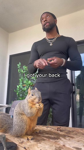 Squirrel vs. Hawk: Nature's Battle in the Sky