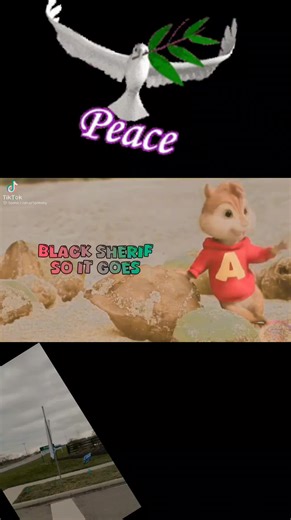 I have been working all this summer 🌞 it has not been easy #comedy #highlight #fyp #everyone God please bless our hustle