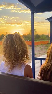 61K views · 14 shares |  DFW! Your perfect fall day is waiting at Mainstay’s Fall Festival!  World of Pumpkins, Texas Big Wheel, Wine Terrace, Train Rides & 30+ attractions await at our Fall Festival! | Mainstay Farm Park | Facebook