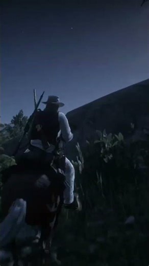 You mean whoa means stop! Red dead redemption 2
