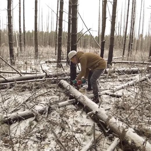 139K views · 3.3K reactions | #Survival #Bushcraft #Outdoor #RaftCamping #PrimitiveSkills | Movie Fan | Facebook