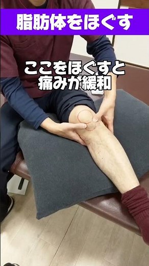 【膝の痛みがなかなか取れない人へ】原因は膝の脂肪体だった？脂肪体をやさしくほぐすだけで疼痛VASが平均20〜30％低下と報告※ 膝を守りながら行う自主リハビリ #理学療法士が解説 #膝