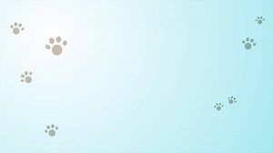 9.4K views · 49 reactions | Tierheim-Serie: Teil 1/12: Die sportliche...