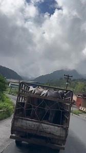 678K views · 16K reactions | Main di sekitar Tanah karo dulu kita yaa Musik : Jantung hatiku versi keyboard Tigan entertainment | Ezra Eriks | Facebook