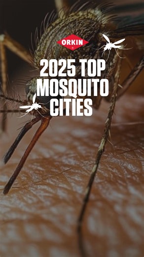 They’re back—and buzzier than ever. The Top Mosquito Cities list just dropped! | Orkin
