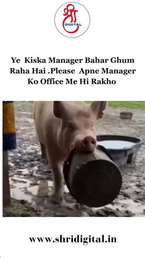 That sudden alert mode when the manager starts patrolling outside #trending #memes #viral #funny