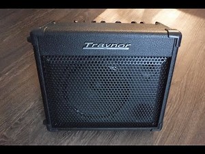 Traynor TVM15 Battery Powered Amp Demo And Review