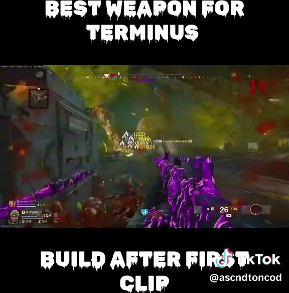 Best Weapon and Build for BO6 Terminus Easter Egg