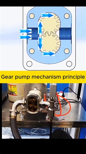 💥(Gear pump mechanism principle)! #Pump #Rotating_equipment #engineering_skills_academy | Engineering Skills
