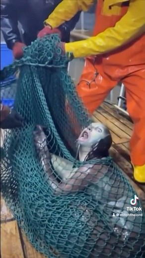 Fisherman catch a MERMAID!!!? #shorts #mermaid #shortvideo