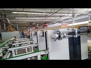 Automatic Timber Stacker 中国瑞力特自动木材码垛机工作视频
